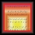 Ghazal new 01 * 22.03.2008 * 395 x 733 * (40KB)